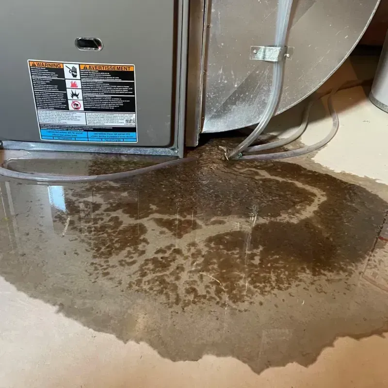 Appliance Leak Cleanup in Speedway, IN