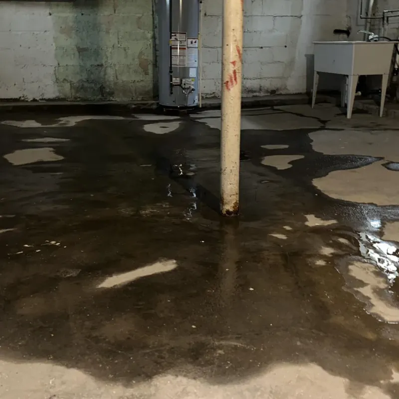 Emergency Water Extraction And Removal in Speedway, IN